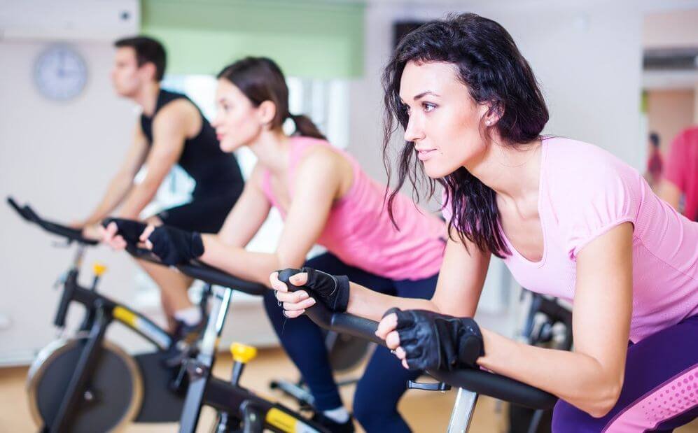 best spin bikes under $500